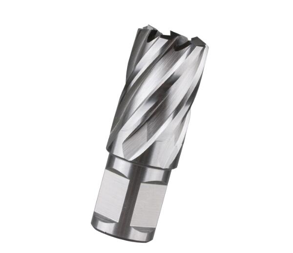 Weldon Shank HSS Annular Broach Cutter Weldon Shank HSS Annular Broach Cutter