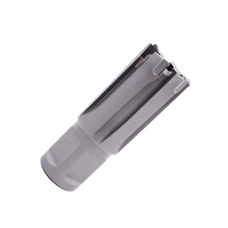 TCT Rail Annular Broach Cutter