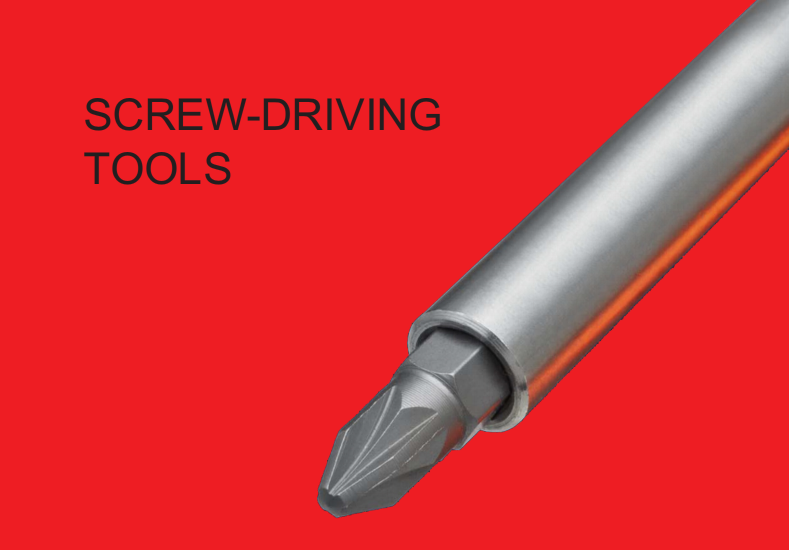 Screw driver bit and holder